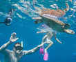 Australia's Great Barrier Reef suffers most extensive coral bleaching