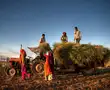 The pandemic is putting more focus on agroecology The pandemic is putting more focus on agroecology