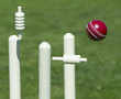 Saliva ban: Players talk cricket in times of Covid