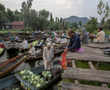 The floating vegetable market of India