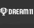 How much Chinese is IPL's new title sponsor? All about Dream 11