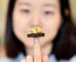 Vietnamese artist serves miniature food to capitalize on growing craze