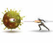How do antibodies fight the coronavirus