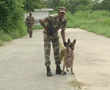 CISF's canine squad has a new special member, Polo