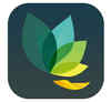 Having a hectic day? Try Oak app for guided meditation