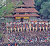 What makes temple elephants so popular in Kerala