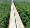 How an elevated stretch of NH 44 through Pench Tiger Reserve earned a distinction