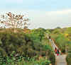 Lease of Life: A 380-acre plot in Gurgaon is now home to hundreds of native trees and bird species