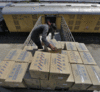 Railways' parcel train service is back, but can it survive after the lockdown ends?