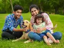 With rising medical cost pet insurance is a must have
