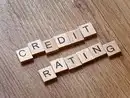 Credit Rating Agencies do not reflect India's economic fundamentals