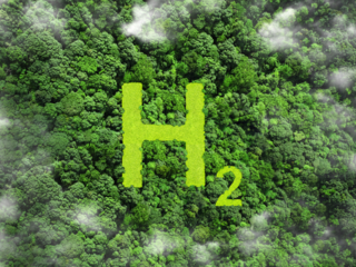 Indian Biogas Association joins hands with HAI to promote hydrogen:Image
