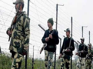 MHA directs CAPFs to adopt BSF's 'beehives on border fence' model across the country:Image