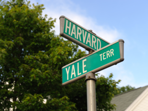 The Ivy League Illusion: Myth vs reality and the other options out there