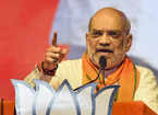 "Never misused mandate, want '400-Paar' to...": Amit Shah refutes Opposition narrative