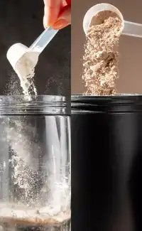 Creatine vs protein: which is actually the best?
