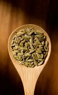 ​5 amazing benefits of eating fennel seeds after meals