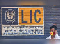 LIC ignores bear howls to strengthen hold in Dalal Street's most hated corner