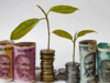 Increasing promoter stake: These 5 stocks surge up to 190% in 1 year