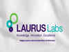 Buy Laurus Labs, target price Rs 355: Sharekhan by BNP Paribas