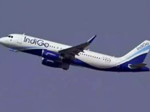 Singapore-bound IndiGo flight from Tiruchirappalli diverted to Indonesia due to burning smell in cabin