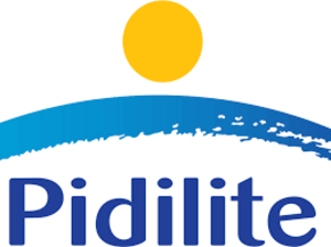 Pidilite expects better margin and volume-driven growth in FY24: MD Bharat Puri