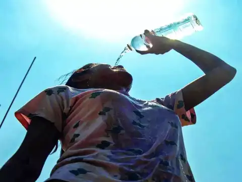 Stay hydrated