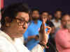 BJP lost Karnataka polls due its 'nature' and 'behaviour', 'Bharat Jodo Yatra' helped Congress: Raj Thackeray