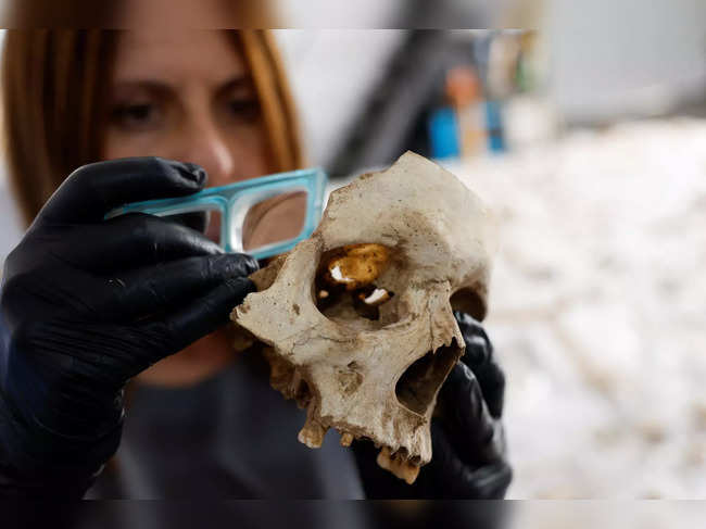 Archaeologist Veronica Alberto from Tibicena, an archaeology company, analyzes a human skull after being unearthed in a cave on the island of Gran Canaria