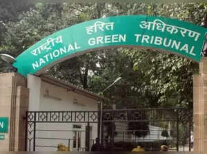 NGT files suo-moto case in Mizoram quarry collapse, toll climbs to 11 with recovery of one more body
