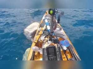 Kayaker attacked by tiger shark off the coast of Hawaii,  dreadful encounter captured on video; Watch