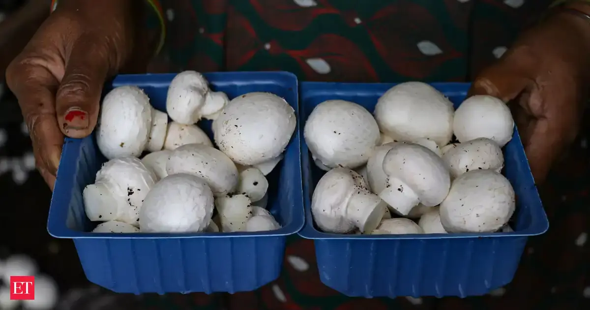 mushroom: Rang De collaborates with Mission Samriddhi to launch ...