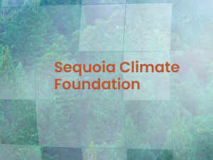 Sequoia Climate Foundation on govt watch list