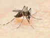 India's trials for dengue vaccines are ongoing: DG-ICMR Dr Rajiv Bahl