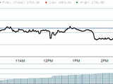 Bharat Heavy Electricals Ltd.