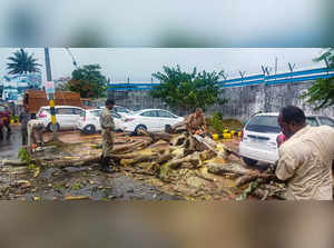 Port Blair: A quick response disaster management team clears a tree that fell in...