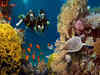 Scuba diving in India: Top destinations to explore the underwater universe
