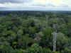 AmazonFACE: Brazil is building a complex of towers arrayed in six rings poised to spray carbon dioxide into rainforest