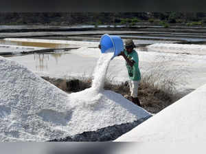 Mumbai: Labourers collect salt in the salt pans before the monsoon rain at Bhandup, in Mumbai, on Monday, May 22, 2023. (IANS)