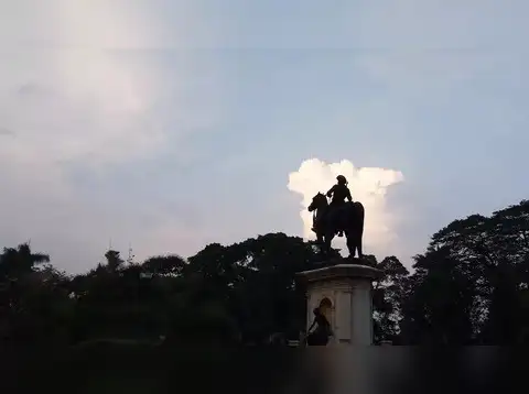 Tiger of Mysore
