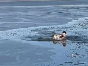 Heroic man rescues drowning dog from icy waters, video goes viral