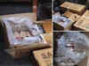 Kerala: Huge consignment of 2800 gelatin sticks, 6000 detonators seized in Kasargod