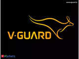 V-Guard Q4 Results: Net profit falls 41% YoY to Rs 52.73 crore on loss in consumer durables