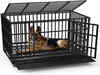 Best Dog Crates for Security, Convenience, and Peace of Mind for your Canine Companion