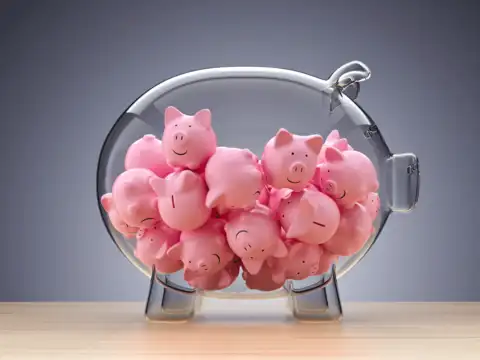 PPF vs Sukanya Samriddhi Yojana: Points to note