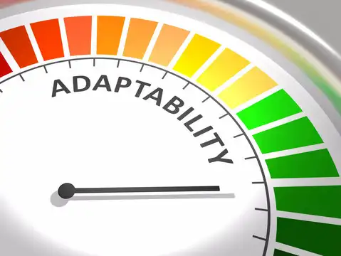 Adaptability is key to growth