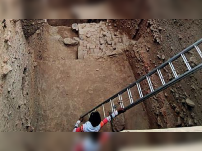 Purana Qila excavation