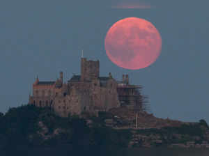 Strawberry Moon 2023: All you need to know