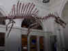 US: Spinosaurus makes debut at Chicago's Field Museum
