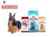 Best Royal Canin Dog Food: Unleash the Power of Tailored Nutrition for a Healthier, Happier Dog